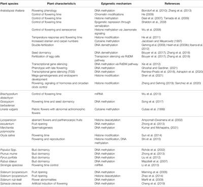 Unravelling the Role of Epigenetic Modifications in Development and Reproduction of Angiosperms: A Critical Appraisal